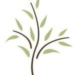 Hartford ortho profile picture