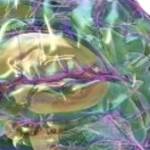 Bio Psychiatry Therapeutic Services Profile Picture