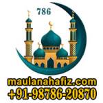 Hafiz Khan Profile Picture