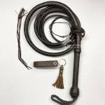 Cow Whip Profile Picture