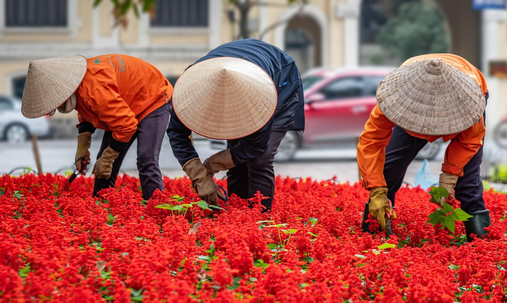 Transportation in Vietnam | Complete List of Options | OneVasco Blog