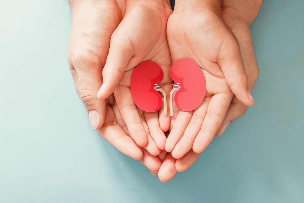 Kidney Cancer Treatment in Ahmedabad | Excel Hospital