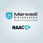 Marwadi University profile picture