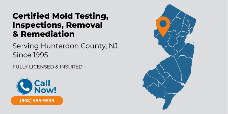 Mold Removal & Remediation Hunterdon County, NJ | Mold Inspection & Testing
