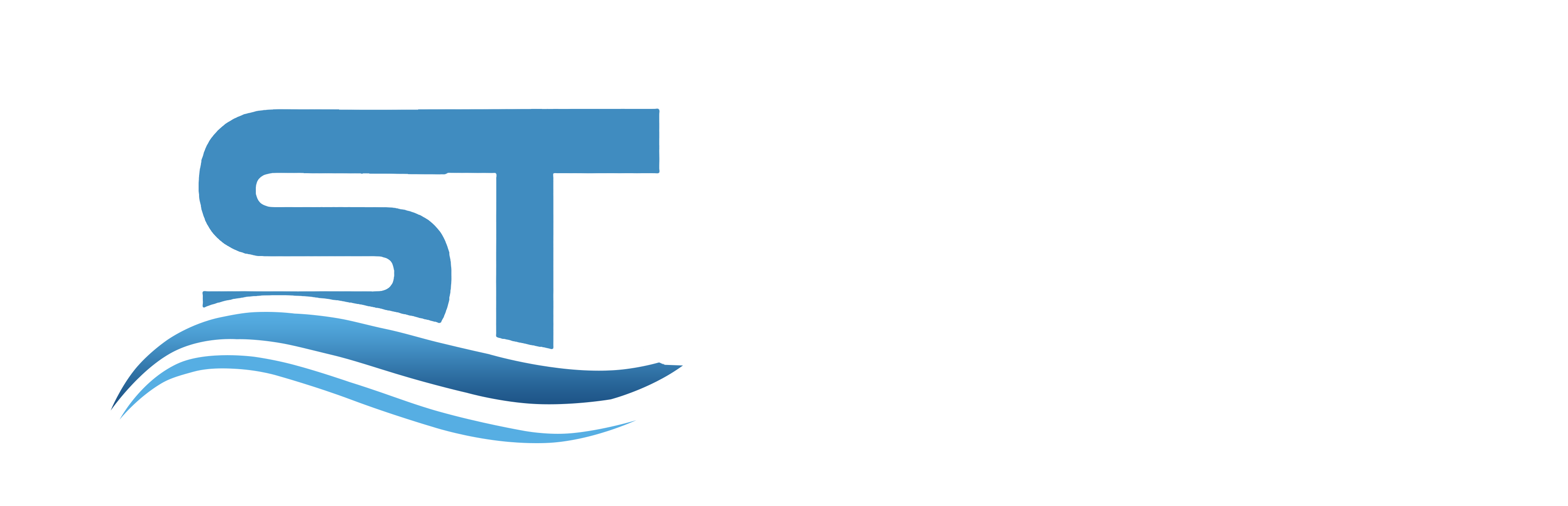 Website Development Services â€“ Sangita Technologies