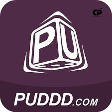 puddd puddd Profile Picture